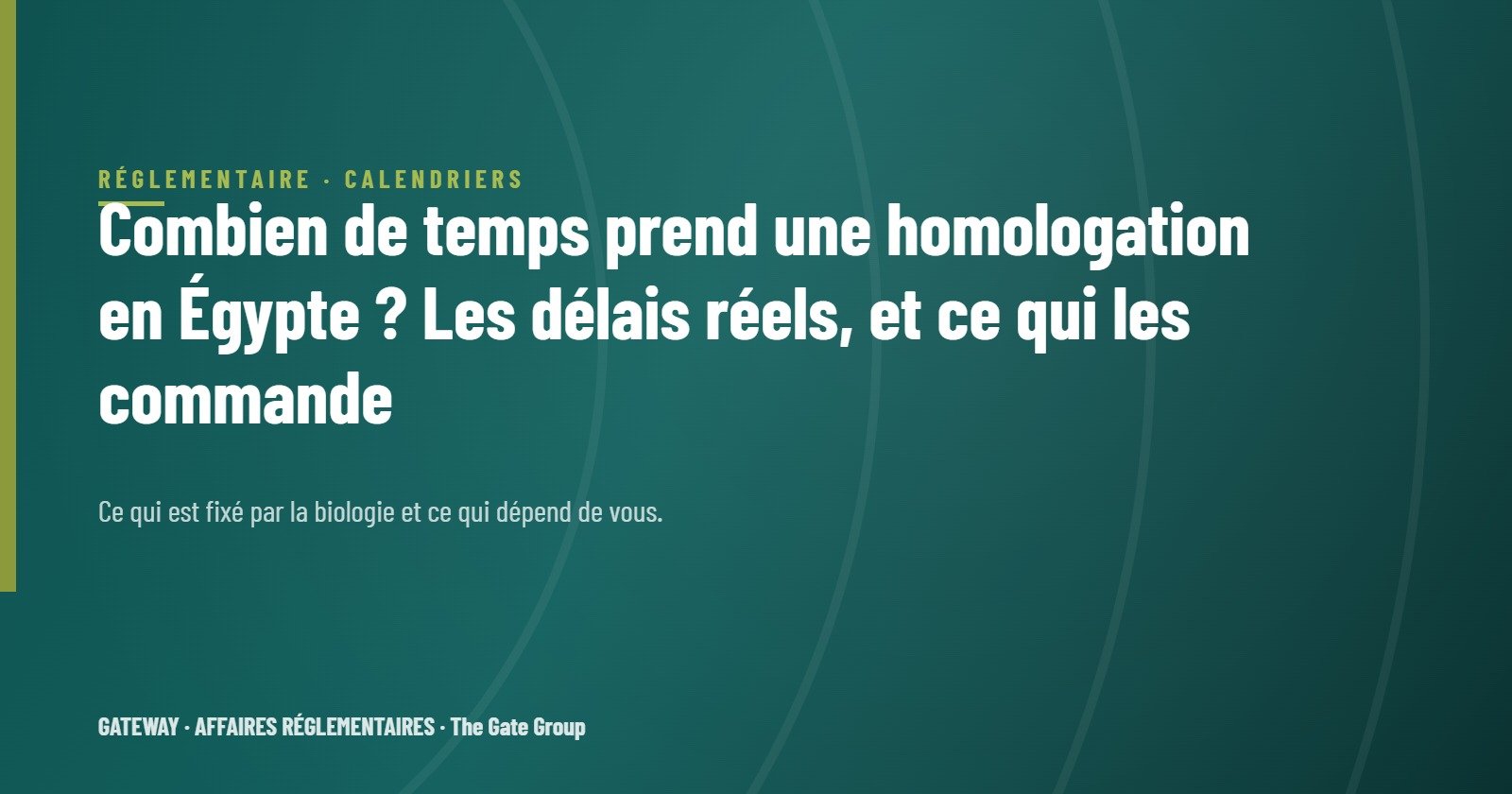 Combien de temps prend une homologation en Égypte ? Les délais réels, et ce qui les commande