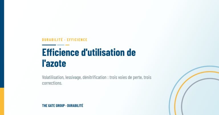 Efficience d'utilisation de l'azote : réduire les pertes, pas les doses