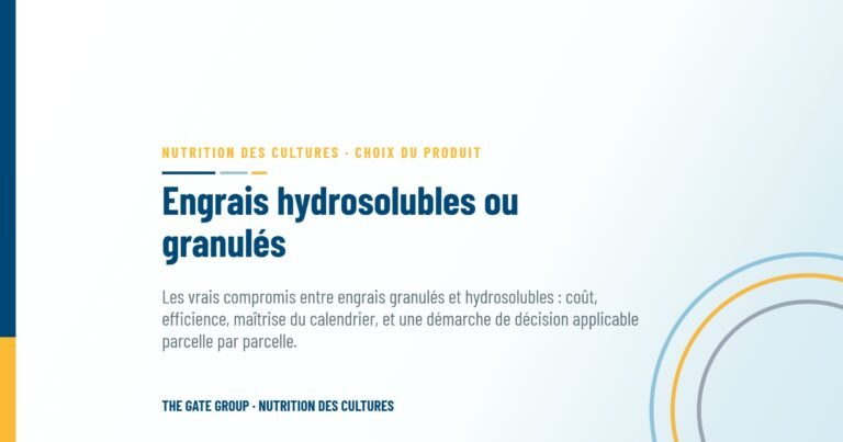 Engrais hydrosolubles ou granulés : lequel convient à votre exploitation ?
