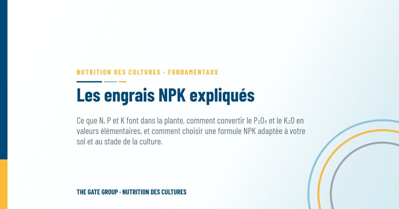 Les engrais NPK expliqués : ce que signifient vraiment les trois chiffres sur le sac