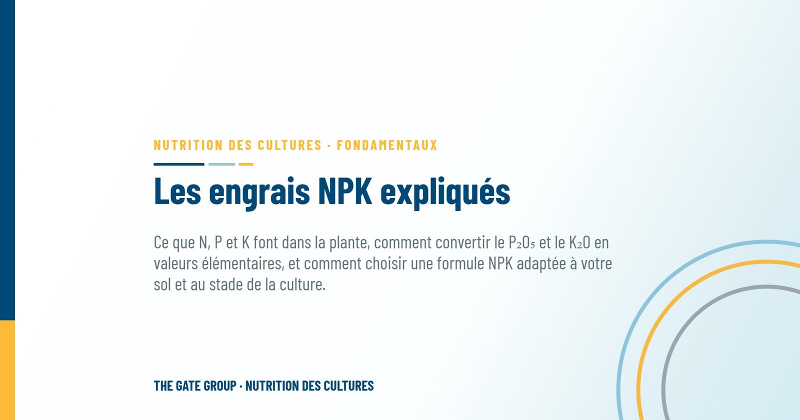 Les engrais NPK expliqués : ce que signifient vraiment les trois chiffres sur le sac