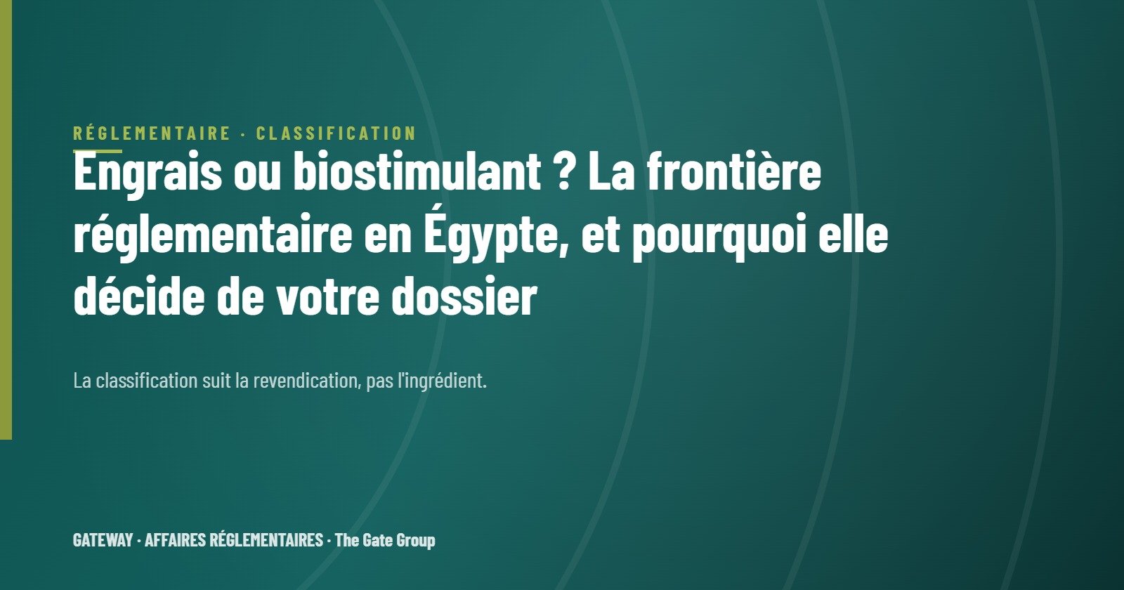 Engrais ou biostimulant ? La frontière réglementaire en Égypte, et pourquoi elle décide de votre dossier