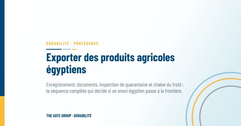 Exporter des produits agricoles égyptiens : les procédures qui décident si une expédition passe