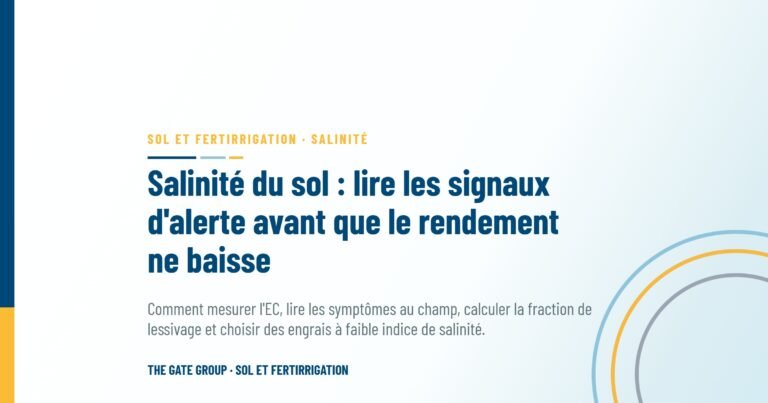 Salinité du sol : lire les signaux d'alerte avant que le rendement ne baisse