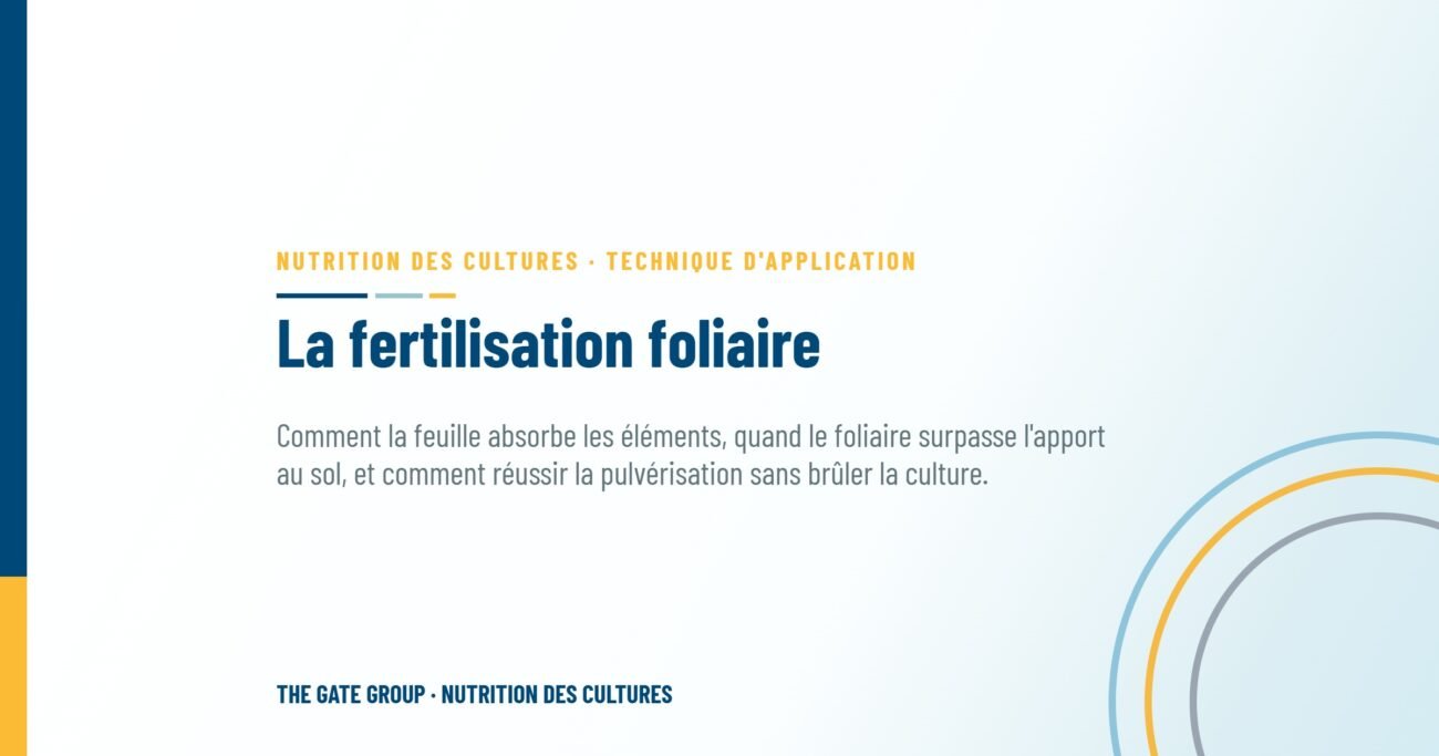 La fertilisation foliaire : quand pulvériser vaut mieux qu'apporter au sol