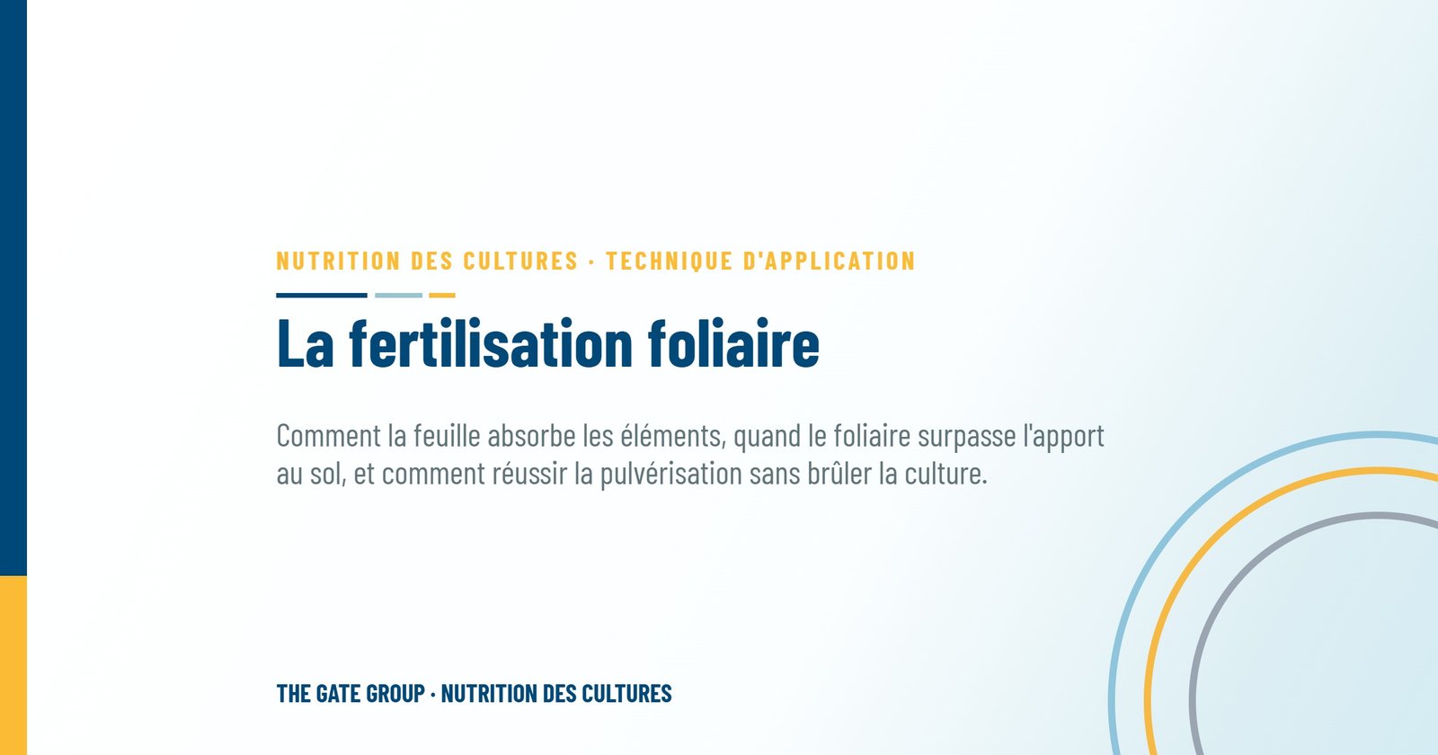 La fertilisation foliaire : quand pulvériser vaut mieux qu'apporter au sol