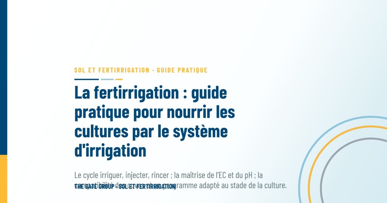 La fertirrigation : guide pratique pour nourrir les cultures par le système d'irrigation