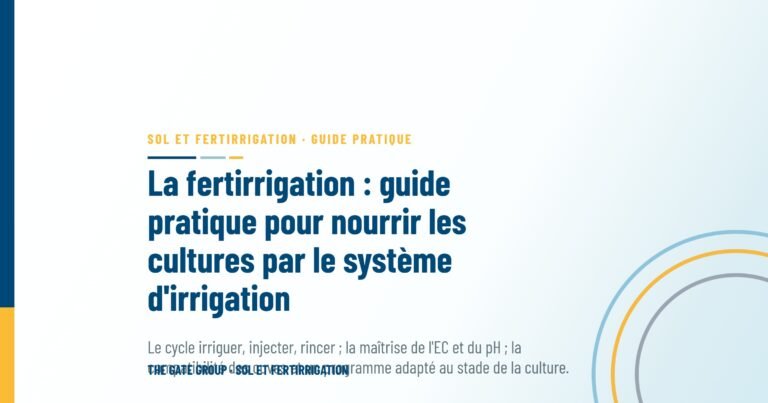 La fertirrigation : guide pratique pour nourrir les cultures par le système d'irrigation