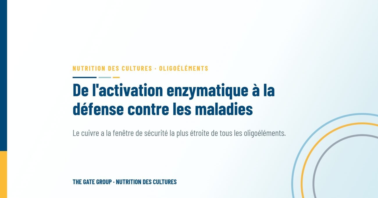 De l'activation enzymatique à la défense contre les maladies : le guide complet des chélates de cuivre