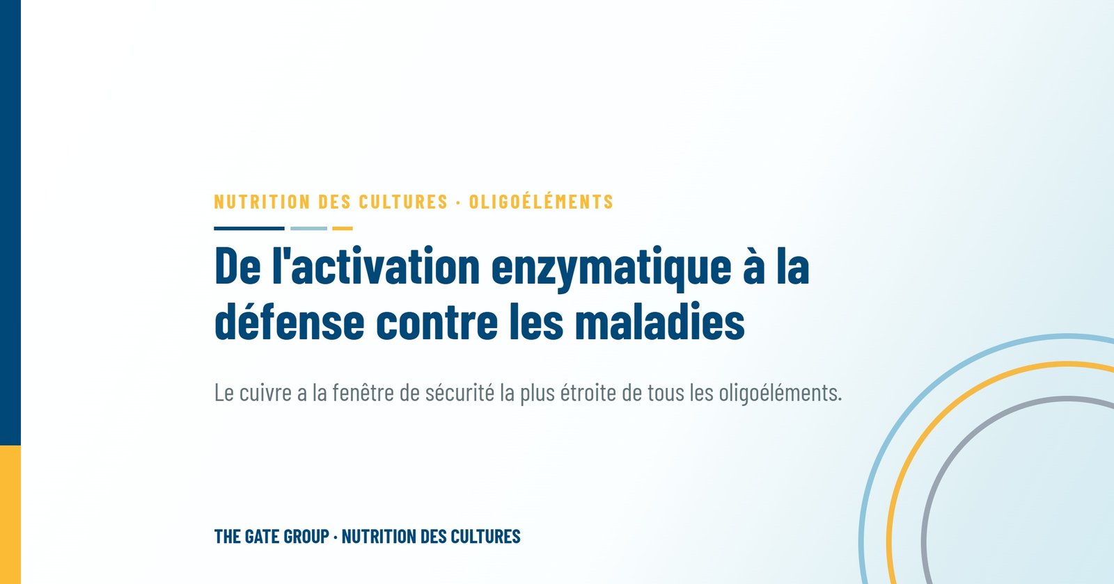De l'activation enzymatique à la défense contre les maladies : le guide complet des chélates de cuivre