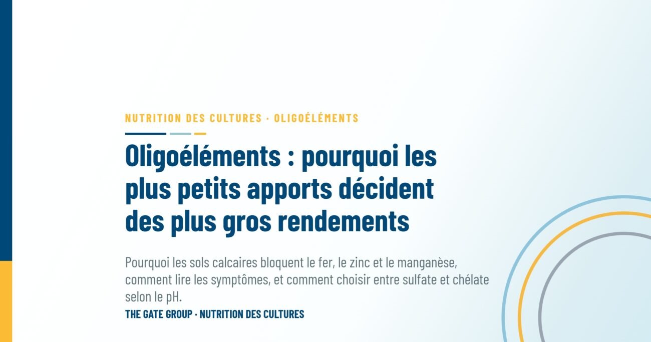 Oligoéléments : pourquoi les plus petits apports décident des plus gros rendements
