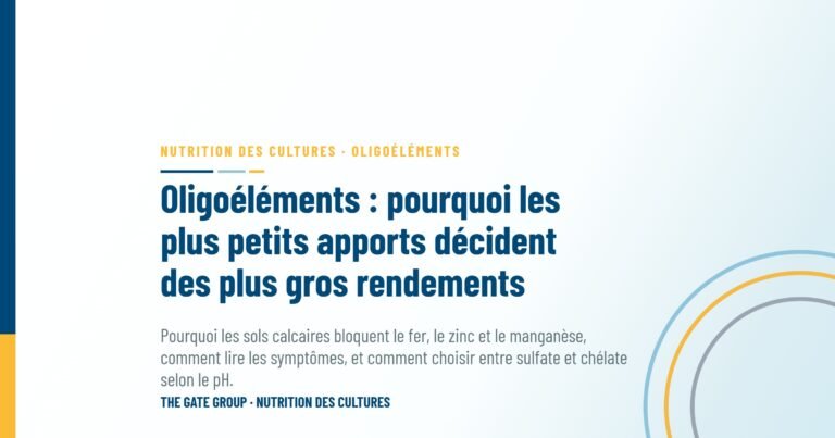 Oligoéléments : pourquoi les plus petits apports décident des plus gros rendements