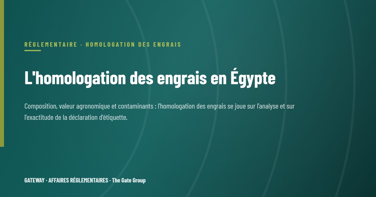 L'homologation des engrais en Égypte : guide étape par étape