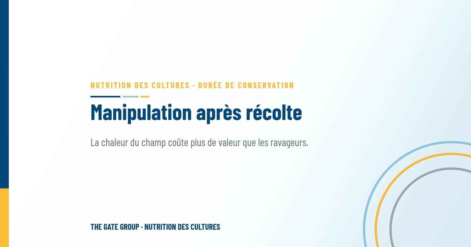 Manipulation après récolte : là où la valeur à l'export se perd dans les six premières heures