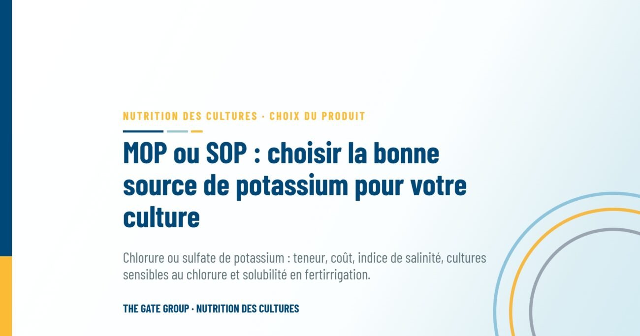 MOP ou SOP : choisir la bonne source de potassium pour votre culture
