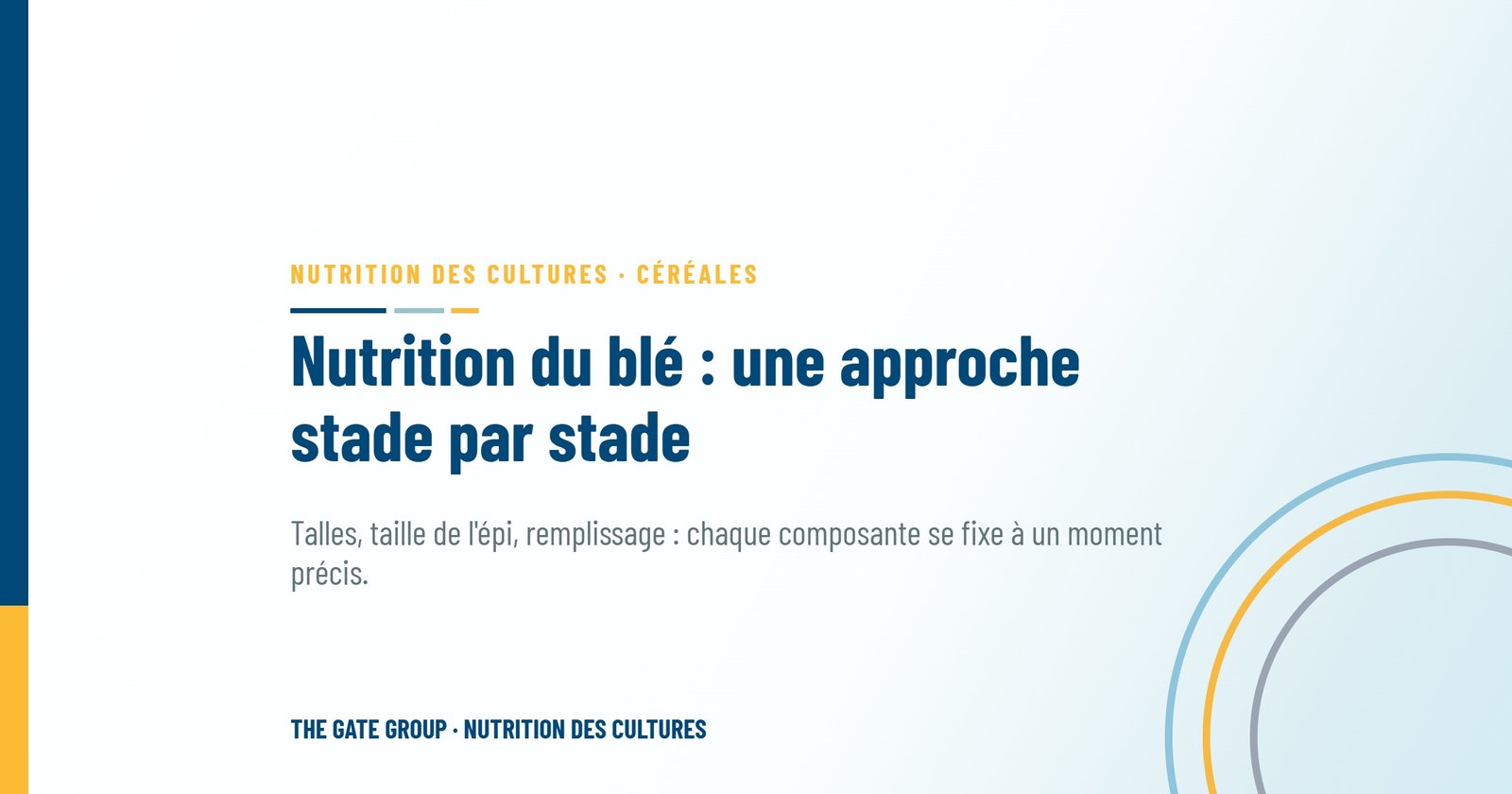 Nutrition du blé : une approche stade par stade