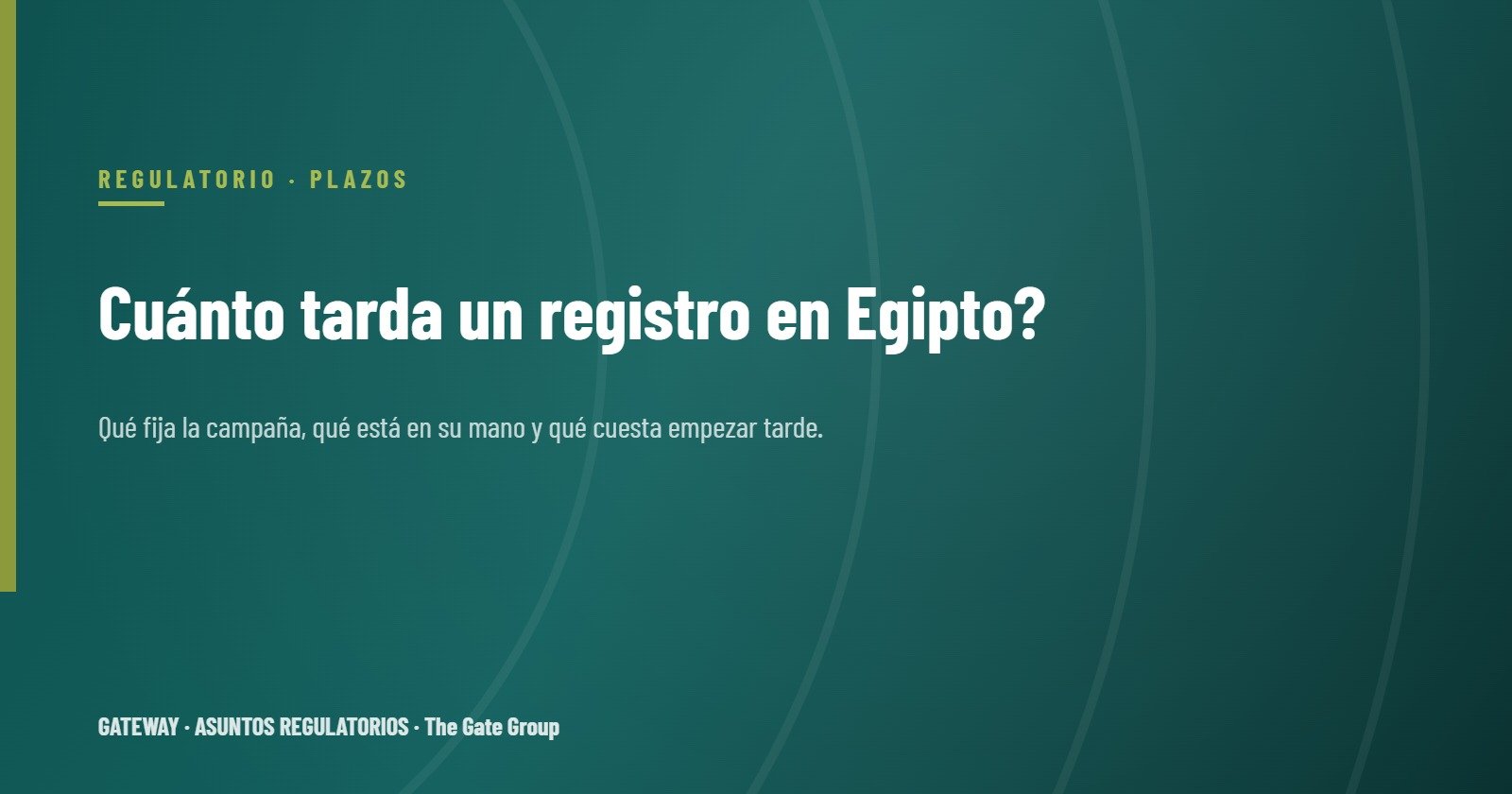 Cuánto tarda un registro en Egipto? Plazos reales y qué los controla