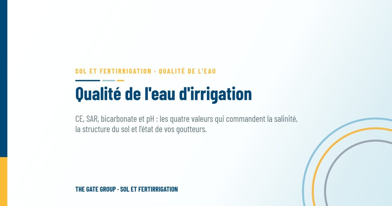 Qualité de l'eau d'irrigation : que faut-il analyser, et pourquoi