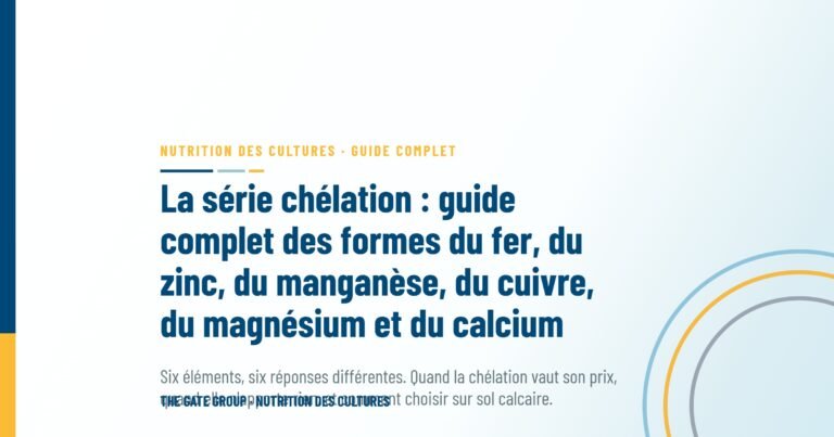 La série chélation : guide complet des formes du fer, du zinc, du manganèse, du cuivre, du magnésium et du calcium
