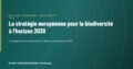 La stratégie européenne pour la biodiversité à l'horizon 2030 : ce qu'elle signifie pour l'agriculture