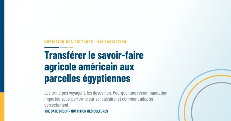 Transférer le savoir-faire agricole américain aux parcelles égyptiennes : ce qui voyage et ce qui ne voyage pas